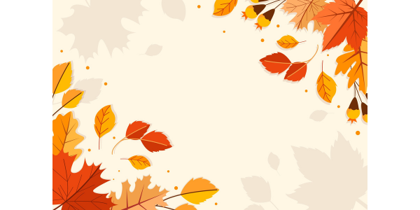 Animations du mois de Novembre