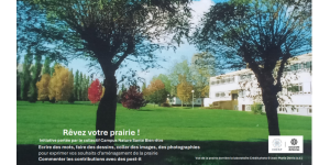Pour le printemps, la bibliothèque se met au vert