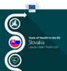 Slovakia : Country Health Profile 2023